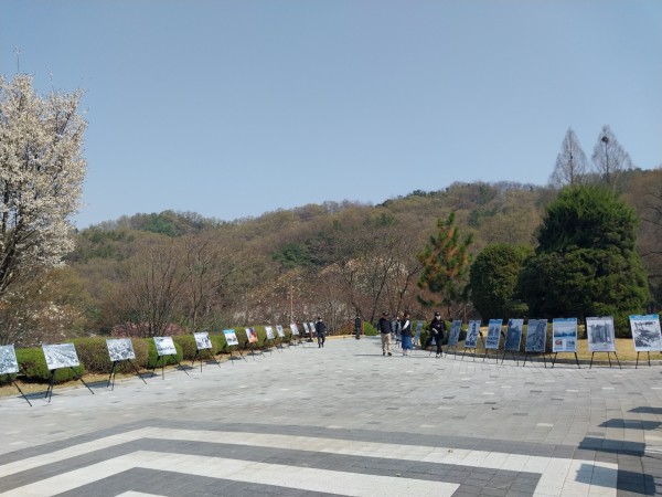 38d9fb7fb7a5188de0b399eb8562ac45_1680755983_1505.jpg