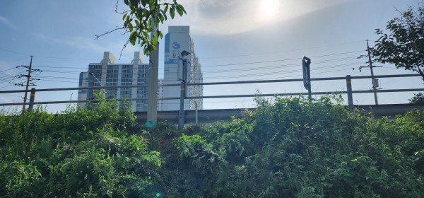 30c925ed54e00ae2985078e53af36651_1758082568_1347.jpg